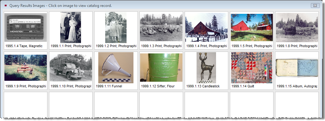 Detail view of the View Images of Query Results screen.