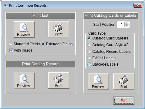 Screenshot of the print options screen.