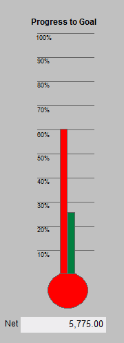 detail image of the Progress to Goal thermometer on the Campaign Management screen