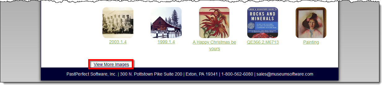 Random Images screen showing Next button on bottom of screen.