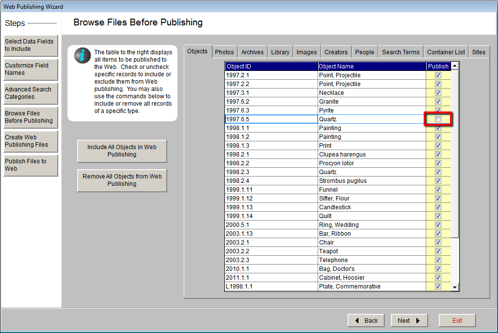 Publish check box